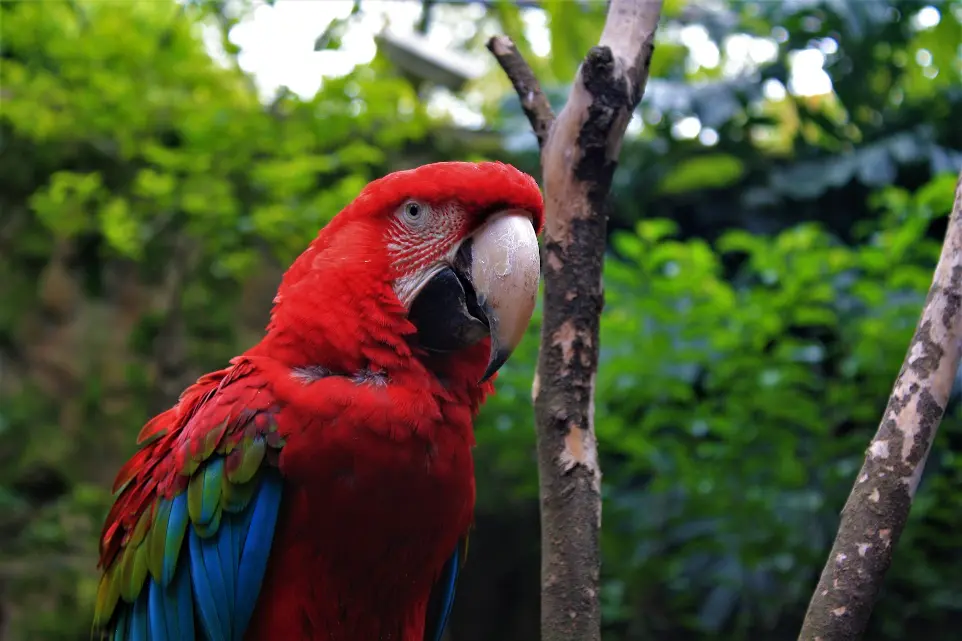 Excursiones educativas, Excursiones escolares,,Turismo en santo domingo, turismo en la zona colonial, museos en la zona colonial, turismo en rd, que hacer en la zona colonial, que hacer en santo domingo, que lugares visitar en santo domingo, kahkow, fortaleza, zoologico,